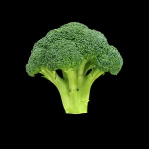 Broccoli