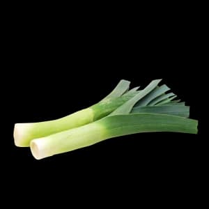 Leek