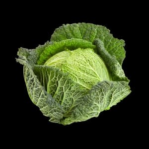 Savoy Cabbage