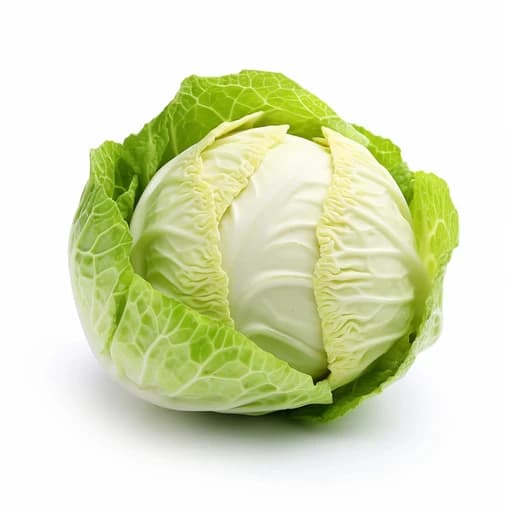 White Cabbage